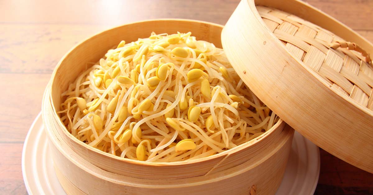 蒸し　ナムル　もやし